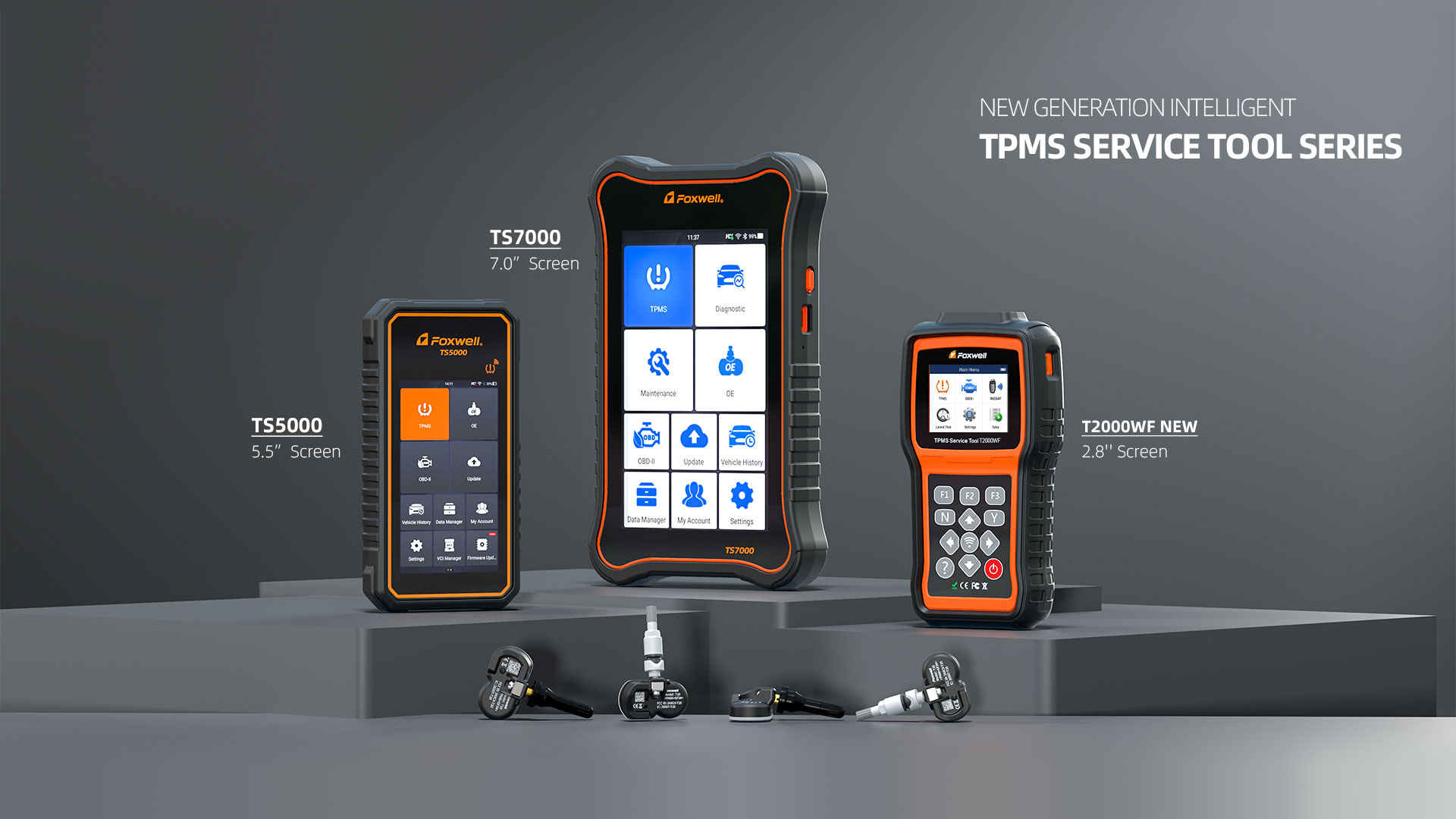 Trang chủ 15 1709169800322