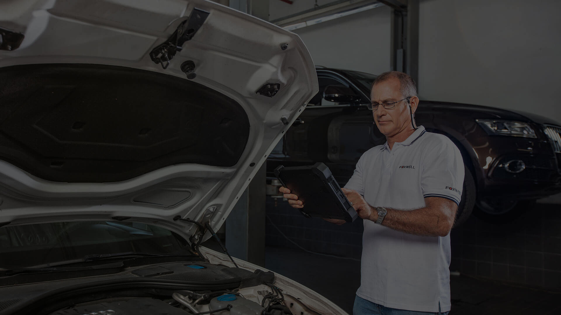 Trang chủ 11 banner